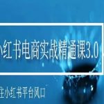 小红书电商实战精通课3.0，抓住小红书平台的风口，不错过有一个赚钱的机会