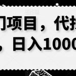 冷门项目，代找资源，日入1000＋