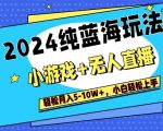 2024纯蓝海玩法，小游戏+无人直播单号单日收益2000+，快速变现