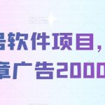 公众号软件项目，单篇文章广告20000+