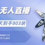 通过支付平台无人带货、不囤货佣金10%一键代发当天到手803块