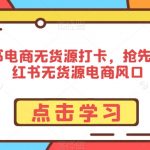 小红书电商无货源打卡，抢先占领小红书无货源电商风口