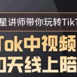 TikTok中视频课程30天线上陪跑，明星讲师带你玩转TikTok