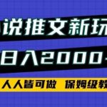 小说推文新玩法，日入2000+，人人皆可做，保姆级教程【揭秘】