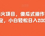 年后爆火项目，傻瓜式操作，收益稳定，小白轻松日入2000+