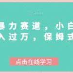 冷门又暴力赛道，小白也能轻松月入过万，保姆式教学