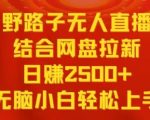 野路子无人直播结合网盘拉新，日赚2500+，小白无脑轻松上手【揭秘】