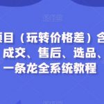 闲鱼电商项目（玩转价格差）含注册、养号、标题、成交、售后、选品、货源等，一条龙全系统教程