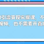 情感粉引流变现实操课，不用拍摄视频，也不需要开直播