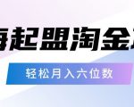 起盟淘金项目，月入六位数，新手小白轻松上手