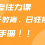 靠儿童专注力课程售卖亲子育儿课程，日暴力狂揽1000+，喂饭手册分享【揭秘】