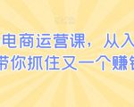 小红书电商运营课，从入门到精通，带你抓住又一个赚钱风口