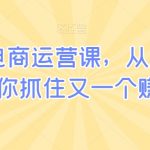 小红书电商运营课，从入门到精通，带你抓住又一个赚钱风口