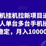 苹果手机挂机拉新项目进阶版模式，单人单台多台手机操作长期稳定，月入10000+【揭秘】”