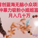 首创蓝海无脑小众项目，2分钟暴力吸粉小姐姐富太太，月入几十万【揭秘】