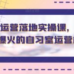 智习室运营落地实操课，1堂课讲透爆火的自习室运营模式