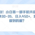 蓝海项目！小白靠一部手机抖音发发作品，一单30-35，日入450+，我是如何做到的呢？