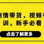 视频号剧情带货，视频号电商培训，新手必看