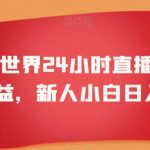 靠QQ小世界24小时直播影视剧赚取收益，新人小白日入300+