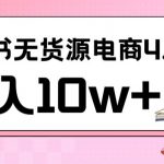 小红书新电商实战，无货源实操从0到1月入10w+联合抖音放大收益【揭秘】