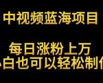 中视频蓝海项目，解读英雄人物生平，每日涨粉上万，小白也可以轻松制作，月入过万不是梦【揭秘】