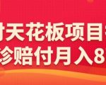 赔付天花板项目拆分，网诊赔付月入8W+-【仅揭秘】