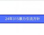 24年315暴力引流方针