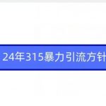 24年315暴力引流方针