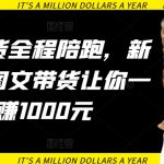 AI图文带货全程陪跑，新手必看，图文带货让你一天多赚1000元