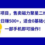 蓝海项目，售卖磁力聚星二维码，轻松日赚500+，适合0基础小白，一部手机即可操作【揭秘】