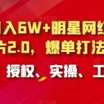 小白月入6W+明星网红IP切片2.0，爆单打法（介绍、授权、实操、工具箱）【揭秘】