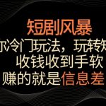 短剧风暴，教你冷门玩法，玩转短剧，收钱收到手软【揭秘】