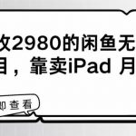 外面收2980的闲鱼无货源！蓝海项目，靠卖iPad月入过万！”