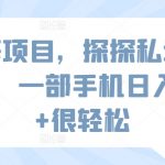 蓝海项目，探探私域新玩法，一部手机日入500+很轻松【揭秘】