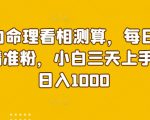 暴力命理看相测算，每日100精准粉，小白三天上手，日入1000