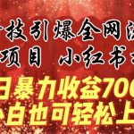 蓝海项目!黑科技引爆全网流量小红书拉新，单日暴力收益7000+，小白也能轻松上手【揭秘】