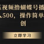 靠解压视频撸蝴蝶号播放收益，轻松日入500，操作简单，包过原创【揭秘】