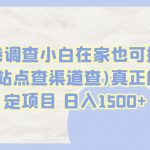 国外问卷调查小白在家也可批量操作(口子查站点查渠道查)真正的长久稳定项目 日入1500+【揭秘】