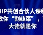 2024IP共创合伙人课程，手把手教你“割韭菜”，下一个大佬就是你