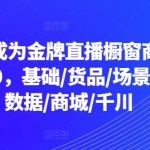 从0-1成为金牌直播橱窗商品卡运营3.0，基础/货品/场景/话术/数据/商城/千川