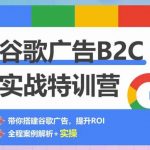 谷歌广告B2C实战特训营，500+谷歌账户总结经验，实战演示如何从0-1搭建广告账户