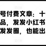 某公众号付费文章：十倍定价暴利单品，发发小红书，朋友圈发发圈，也能出单