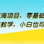 全新蓝海项目，零基础快手付费内容教学，小白也可以操作【揭秘】