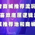 抖音商城运营课程，猜你喜欢入池商城搜索商城推荐人群标签覆盖