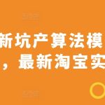 2024最新坑产算法模型打款玩法系列，最新淘宝实操玩法