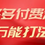 2024多多付费流万能打法、强付费起爆、流量逻辑、高转化、高投产【揭秘】