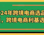 2024年跨境电商选品案例，跨境电商利基选品