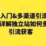 独立站入门&多渠道引流布局策略，详解独立站如何多渠道引流获客