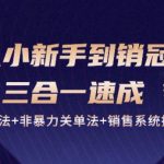 从小新手到销冠 三合一速成：销售3法+非暴力关单法+销售系统挖需课 (27节