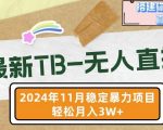 “【最新TB-无人直播】11月最新，打造你的日不落直播间，轻松月入过W【揭秘】”